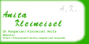 anita kleineisel business card